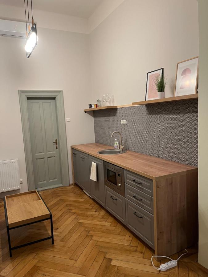 Barty Downtown Apart 1 Тимишоара Экстерьер фото